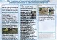The response of macroinvertebrate communities to PowerPoint PPT Presentation