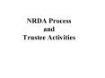 NRDA Process and Trustee Activities PowerPoint PPT Presentation