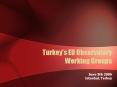 Turkeys EU Observatory Working Groups PowerPoint PPT Presentation