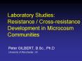 Peter GILBERT, B.Sc., Ph.D PowerPoint PPT Presentation