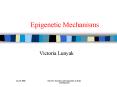 Epigenetic Mechanisms PowerPoint PPT Presentation