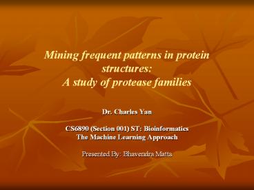 Mining frequent patterns in protein structures: A study of protease families