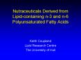 Nutraceuticals Derived from Lipidcontaining n3 and n6 Polyunsaturated Fatty Acids PowerPoint PPT Presentation