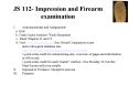 JS 112 Impression and Firearm examination PowerPoint PPT Presentation