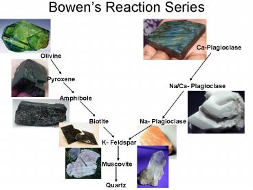 Bowens Reaction Series