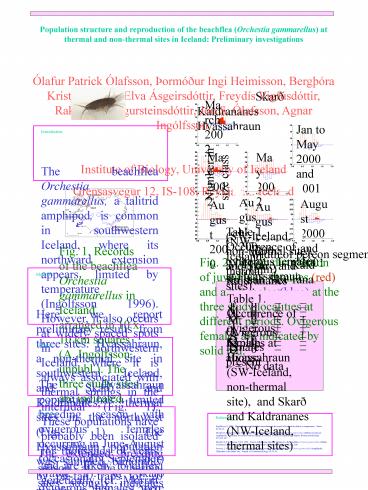 Skar Kaldrananes Hvassahraun