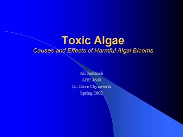 Toxic Algae Causes and Effects of Harmful Algal Blooms