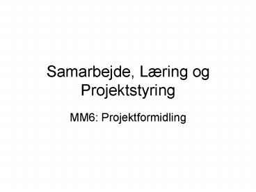 Samarbejde, Lring og Projektstyring