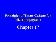 Principles of Tissue Culture for Micropropagation