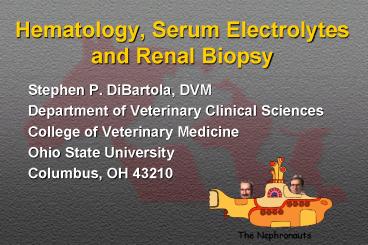 Hematology, Serum Electrolytes and Renal Biopsy