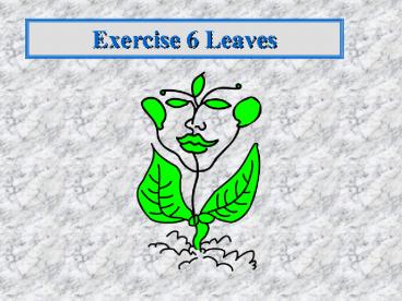 Exercise 6 Leaves