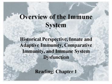 Overview of the Immune System
