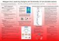 Meta-analysis: Statistically combining separate analyses. PowerPoint PPT Presentation