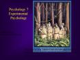 Psychology 7 PowerPoint PPT Presentation