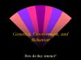 Genetics, Environment, and Behavior PowerPoint PPT Presentation