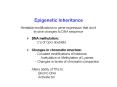 Epigenetic%20Inheritance PowerPoint PPT Presentation