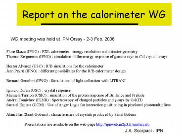 Report on the calorimeter WG