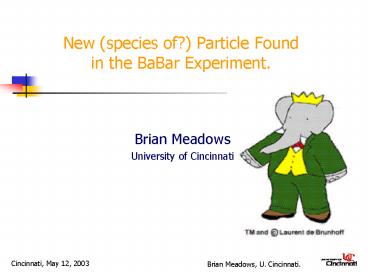 New (species of?) Particle Found in the BaBar Experiment.