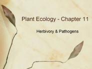 Plant Ecology - Chapter 11