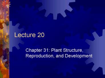 presentation player overlay