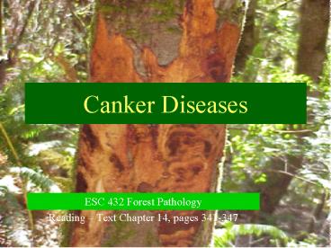 Canker Diseases