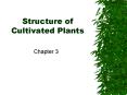 Structure of Cultivated Plants PowerPoint PPT Presentation