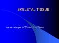 SKELETAL TISSUE PowerPoint PPT Presentation