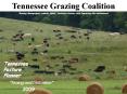 Tennessee Pasture Planner PowerPoint PPT Presentation