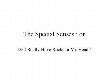 The Special Senses : or