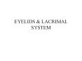EYELIDS PowerPoint PPT Presentation