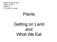 NatSci360 Plants