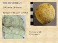 THE%20DEVONIAN PowerPoint PPT Presentation
