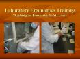 Laboratory Ergonomics Training Washington University In St' Louis PowerPoint PPT Presentation