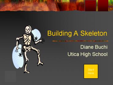 Building A Skeleton