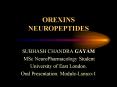 OREXINS NEUROPEPTIDES PowerPoint PPT Presentation
