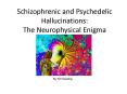 Schizophrenic and Psychedelic Hallucinations: The Neurophysical Enigma PowerPoint PPT Presentation