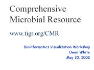 Comprehensive Microbial Resource www.tigr.org/CMR