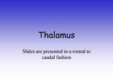 Thalamus