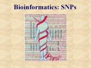 Bioinformatics:%20SNPs