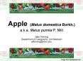 Apple (Malus domestica Borkh.) a.k.a. Malus pumila P. Mill. PowerPoint PPT Presentation
