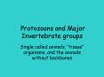 Protozoans and Major Invertebrate groups PowerPoint PPT Presentation