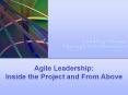 Agile Leadership: Inside the Project and From Above PowerPoint PPT Presentation