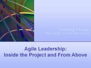 Agile Leadership: Inside the Project and From Above