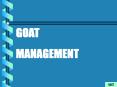 GOAT PowerPoint PPT Presentation