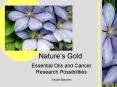 Natures Gold PowerPoint PPT Presentation