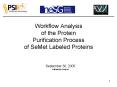 Workflow Analysis of the Protein Purification Process of SeMet Labeled Proteins PowerPoint PPT Presentation