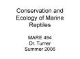 Conservation and Ecology of Marine Reptiles PowerPoint PPT Presentation