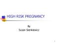 HIGH RISK PREGNANCY PowerPoint PPT Presentation