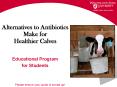 Alternatives to Antibiotics Make for Healthier Calves PowerPoint PPT Presentation