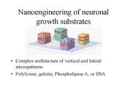 Nanoengineering of neuronal growth substrates